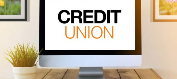 Are all credit unions non profit